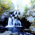 Discovering the Natural Wonders of Hartford County, Connecticut